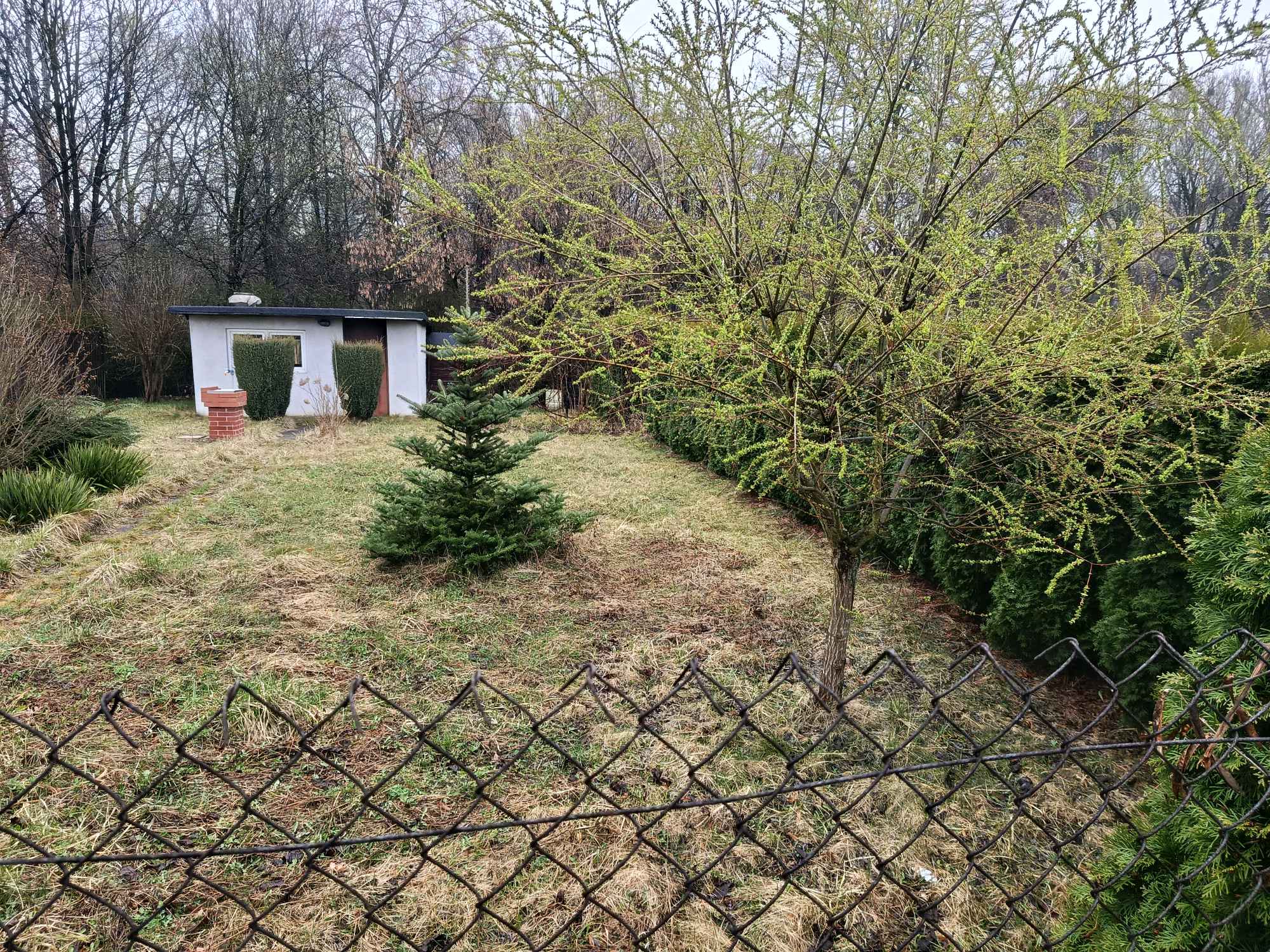 Sprzedam Ogródek działkowy Bytom Szombierki 'Pod Perłą' Bytom - zdjęcie 5