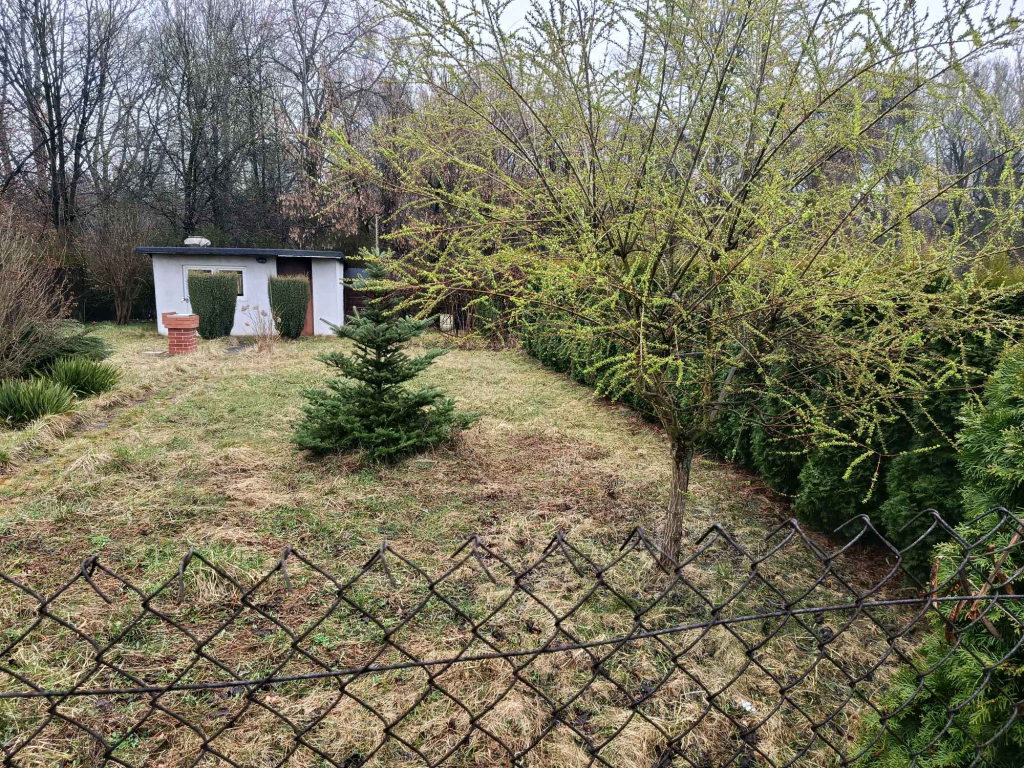 Sprzedam Ogródek działkowy Bytom Szombierki 'Pod Perłą' Bytom - zdjęcie 5