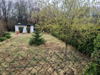 Sprzedam Ogródek działkowy Bytom Szombierki 'Pod Perłą' Bytom - zdjęcie 5