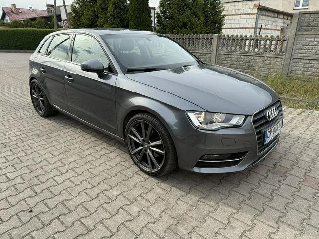 Audi A3 1,6TDI Poniec - zdjęcie 3