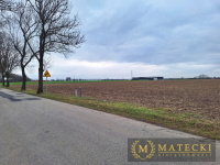 Działka AG  - 7 km od Poznania Tulce - zdjęcie 9