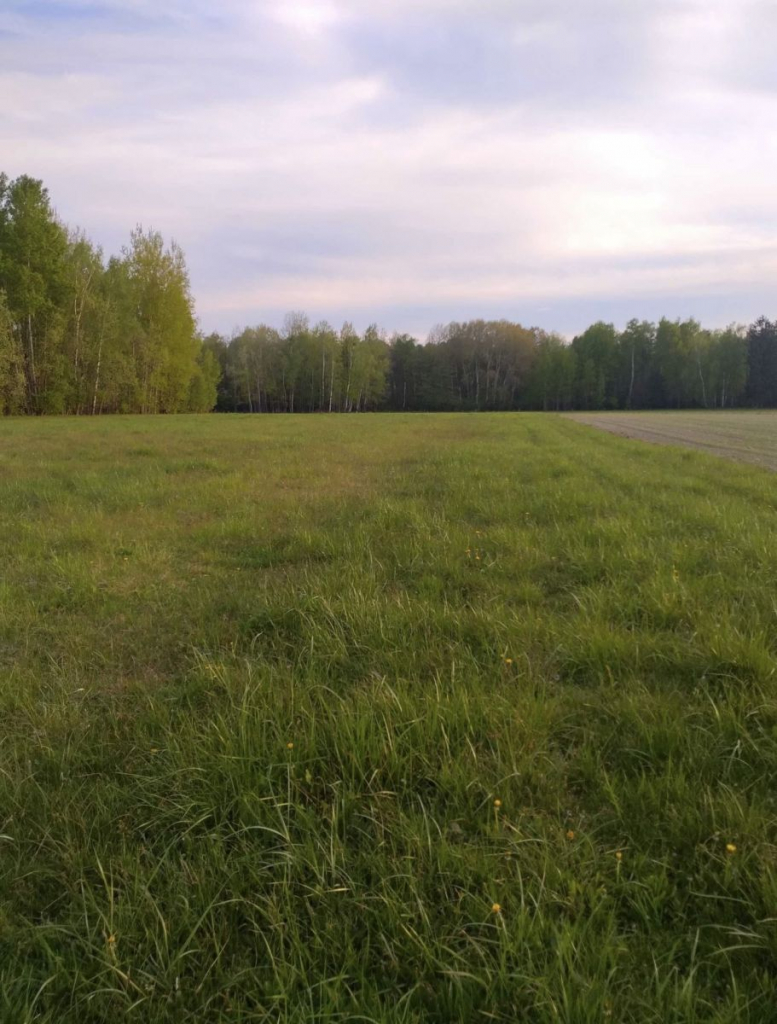 Atrakcyjne Działki Rafałówka Rafałówka - zdjęcie 1