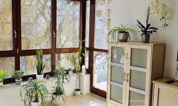 Ciche mieszkanie z pięnym widokiem na Żoliborzu