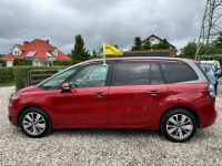 Citroen C4 Grand Picasso | 7 osobowy | Idealny stan Reda - zdjęcie 7