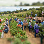 Zatrudnie rekrutera z znajomością j.Hiszpańskiego. Sochaczew - zdjęcie 2