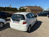 Honda Jazz Przasnysz - zdjęcie 5