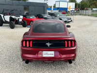 Ford Mustang, 2015 Michałowice - zdjęcie 5