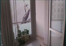 1pok, 19met, Okolice Placu Legionów BALKON/PIWNICA (Wrocław) Stare Miasto - zdjęcie 10