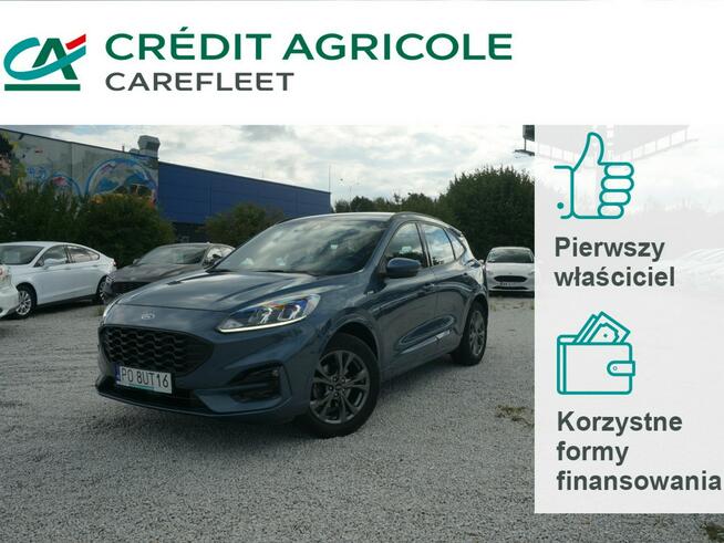 Ford Kuga 2.0 EcoBlue/190 KM AWD ST-Line Fvat 23% Salon PL PO8UT16 Poznań - zdjęcie 1