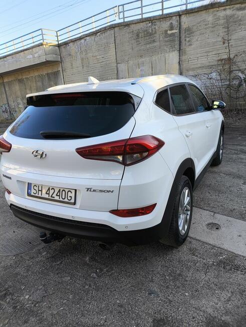 Sprzedam ładnego tucsona Tarnowskie Góry - zdjęcie 5