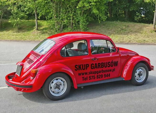 Volkswagen Garbus Buggy Baja Gdańsk - zdjęcie 1