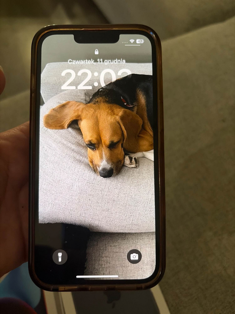 iPhone 14 256 GB czerwony Krzyki - zdjęcie 10