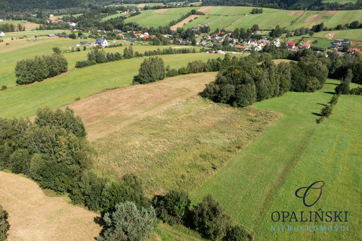 Panorama | Zacisze | Zainwestuj w Bieszczadach | Bukowiec - zdjęcie 5