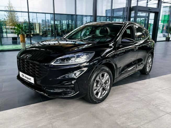 Ford Kuga Sadlno - zdjęcie 3
