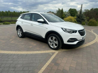 Opel Grandland X Lipówki - zdjęcie 5