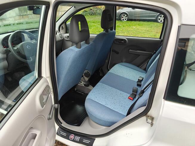 Fiat Panda Jurków - zdjęcie 7