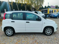 Fiat Panda Zadbany* Zarejestrowany* 1 wlaścicielka Bydgoszcz - zdjęcie 7