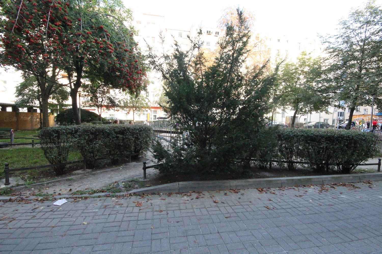 2pok, 52met, okolice Placu Macieja PARKING/PIWNICA (Wrocław) Śródmieście - zdjęcie 11