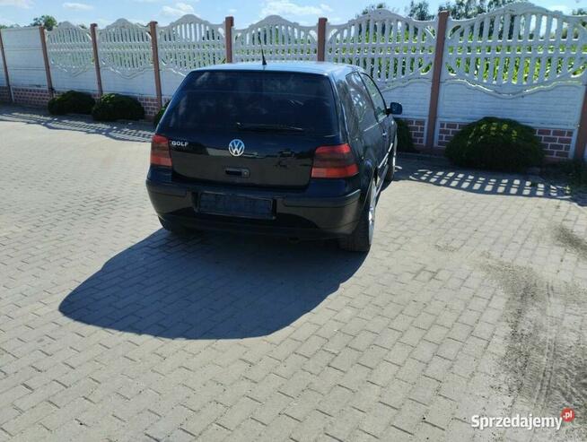 Vw Golf 4 1.6 SR 1999 Sicienko - zdjęcie 6