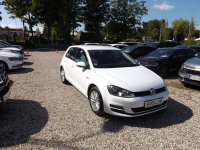 Volkswagen Golf Słupsk - zdjęcie 3