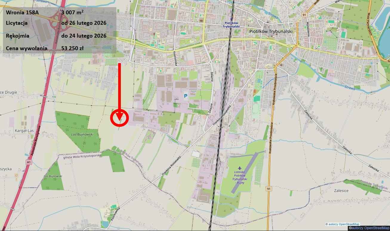 Grunt rolny, uzbrojenie w drodze, licytacja Piotrków Trybunalski - zdjęcie 3