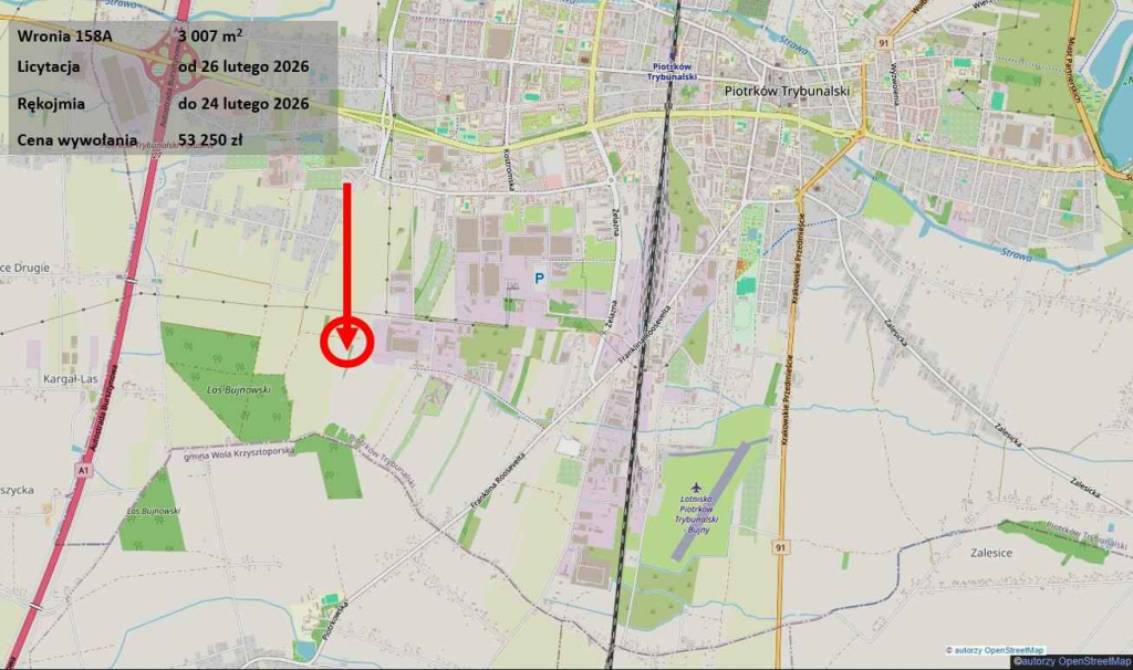 Grunt rolny, uzbrojenie w drodze, licytacja Piotrków Trybunalski - zdjęcie 3
