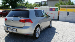 Volkswagen Golf Ostrów Wielkopolski - zdjęcie 4