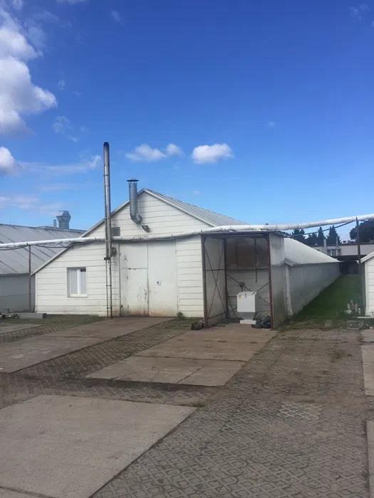 Lokal na wynajem Sulejówek Sulejówek - zdjęcie 2