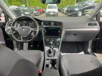 Volkswagen Golf Janów Lubelski - zdjęcie 9