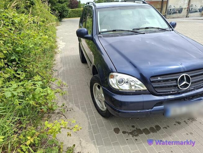 Mercedes ML 270 CDI 2.7 Diesel Automat | Hak | Po dużym serw Krokowa - zdjęcie 8