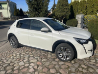 Sprzedam Turek - zdjęcie 3