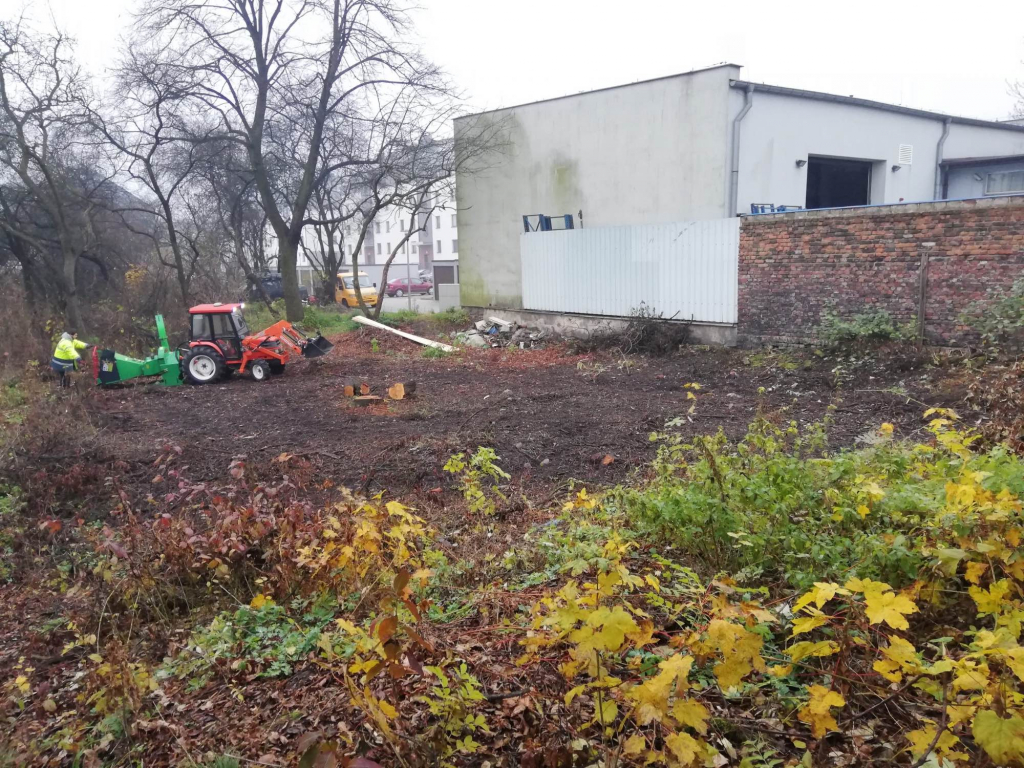 Oczyszczenie działki Wrocław Psie Pole - zdjęcie 1