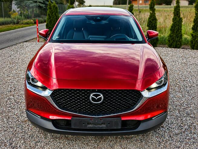 Mazda CX-30 Sadlno - zdjęcie 2