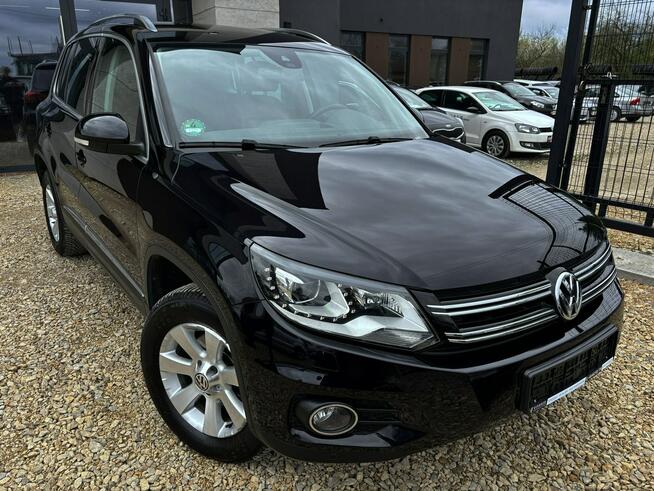 Tiguan 2.0 TDI 177km 4x4 BI-XENON kamera NAVI bordo skóra SERWIS 2014 Tychy - zdjęcie 2