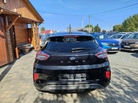Ford Puma 1.0 EcoBoost hybryda 125 KM Przebieg-60 963km Serwisowany Twardów - zdjęcie 6