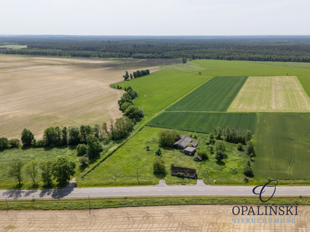 Działka budowlana 63 ar | uzbrojona | z budynkami Stare Sioło - zdjęcie 3