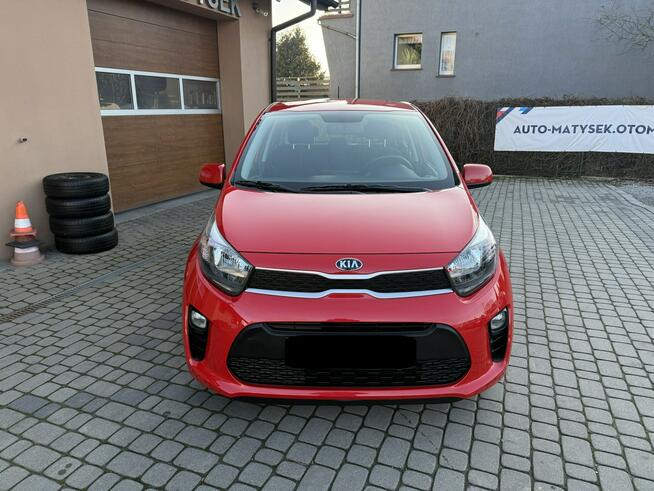 Kia Picanto 1,0 67KM  klimatyzacja  1Właściciel  Koła lato + zima Orzech - zdjęcie 2