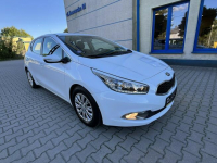 Kia Ceed II 1.6B 2013r Led Nawigacja Biała Perła 5-Drzwi Serwis Klima! Sokołów Podlaski - zdjęcie 10