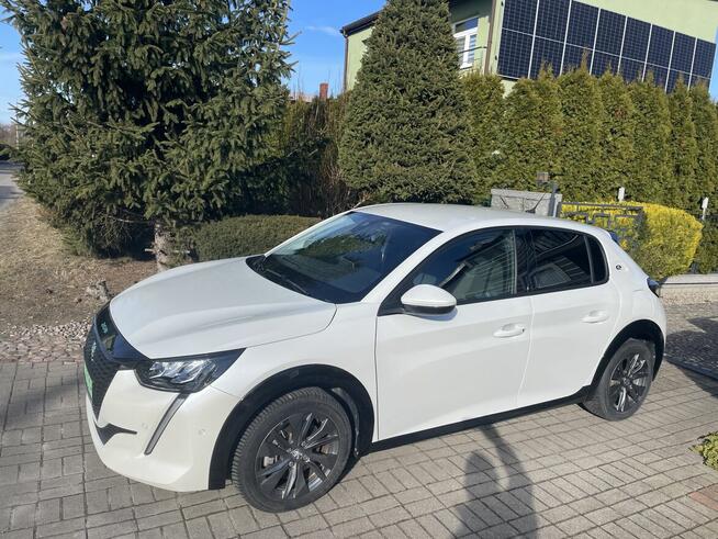 Sprzedam Turek - zdjęcie 6