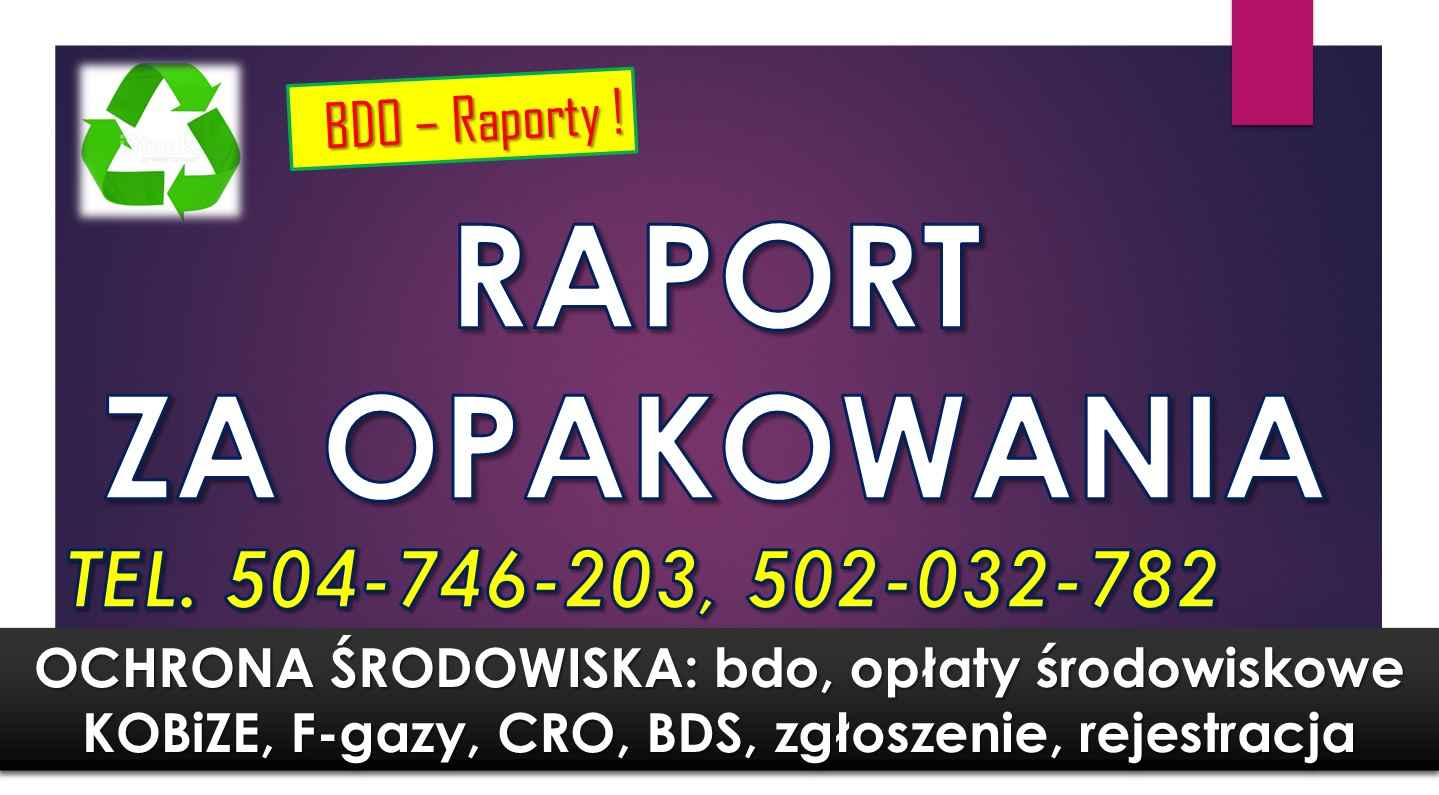 Obliczenie opłat wprowadzone opakowania,  produkty w opakowaniach BDO Psie Pole - zdjęcie 4