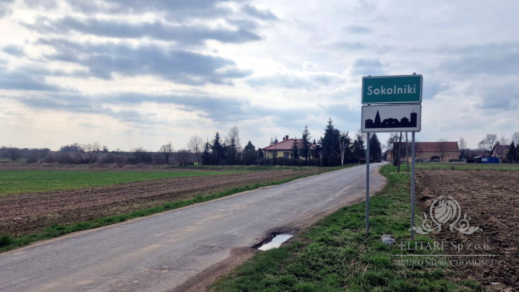 Działka budowlana/siedliskowa 3000m2 z MPZP Sokolniki gm. Kąty Sokolniki - zdjęcie 6