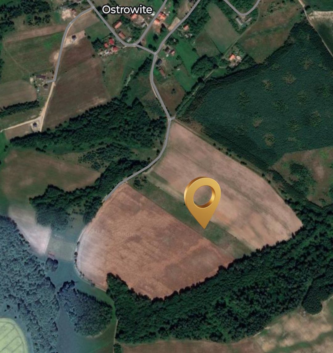 Działka|Blisko jeziora Dąbrowa Wielka Ostrowite - zdjęcie 2