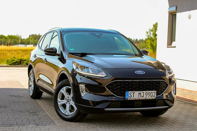Ford Kuga Radar System Pasa Navi Android Auto Virtual Cockpit Ledy Ostrów Mazowiecka - zdjęcie 10