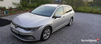 Volkswagen Golf 1.5 eTSI EVO Life DSG
