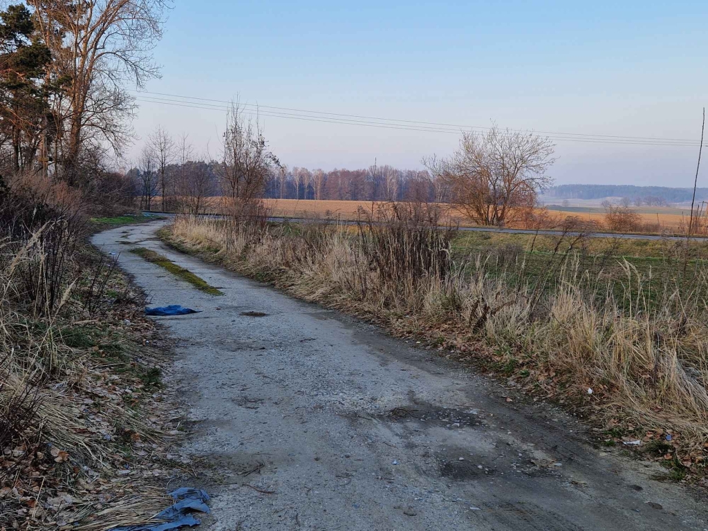 Nieruchomość na sprzedaż Kamiennik - zdjęcie 6