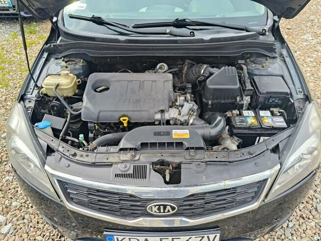 Kia Cee'd Tanie*Ekonomiczny Bibice - zdjęcie 10