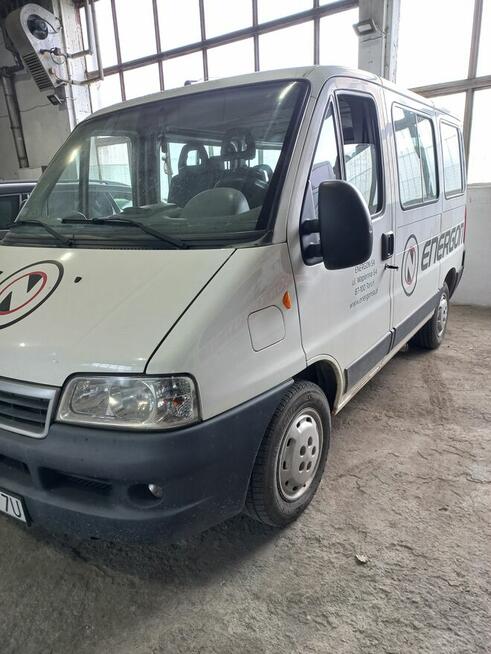Sprzedam BUSa 9os Toruń - zdjęcie 2