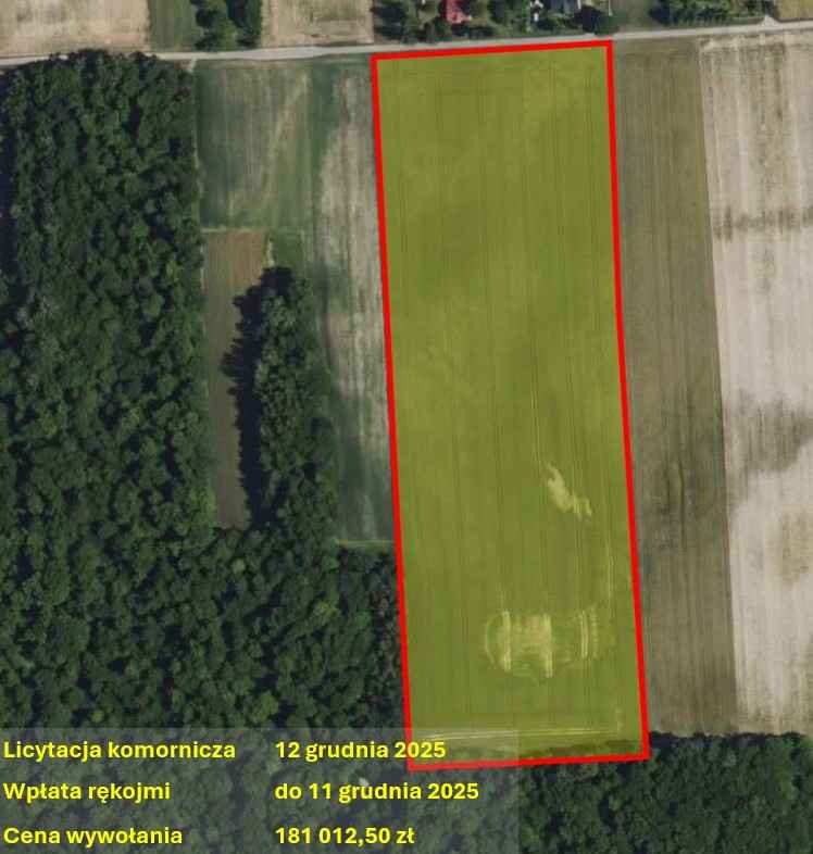 Licytacja komornicza, Andrzejówka, grunt użytkowany Andrzejówka - zdjęcie 1