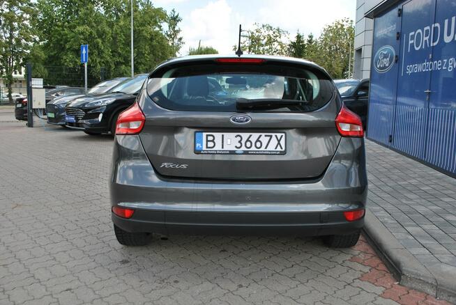 Hatchback GoldX 1,6 Benzyna 105KM ASO Forda Białystok - zdjęcie 7