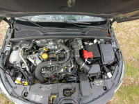 Renault Clio 1.0i + Gaz Pleszew - zdjęcie 12